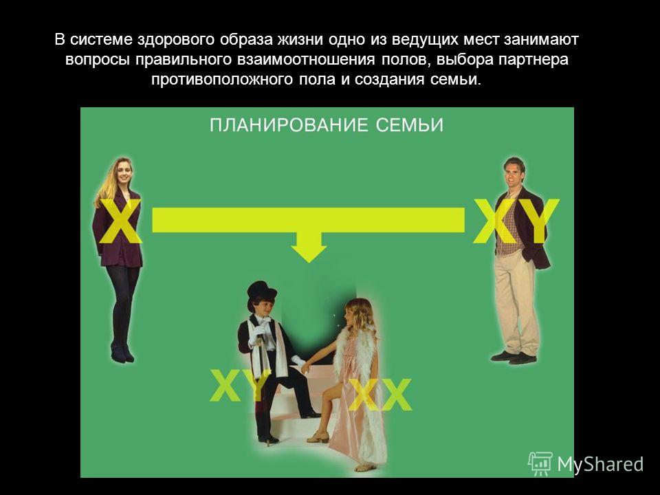 схема здорового образа жизни схема здорового образа жизни