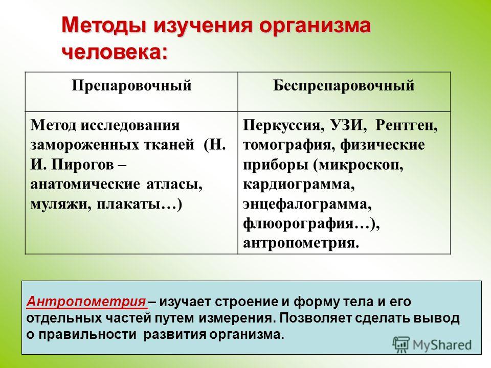 Современные методы изучения организма человека презентация