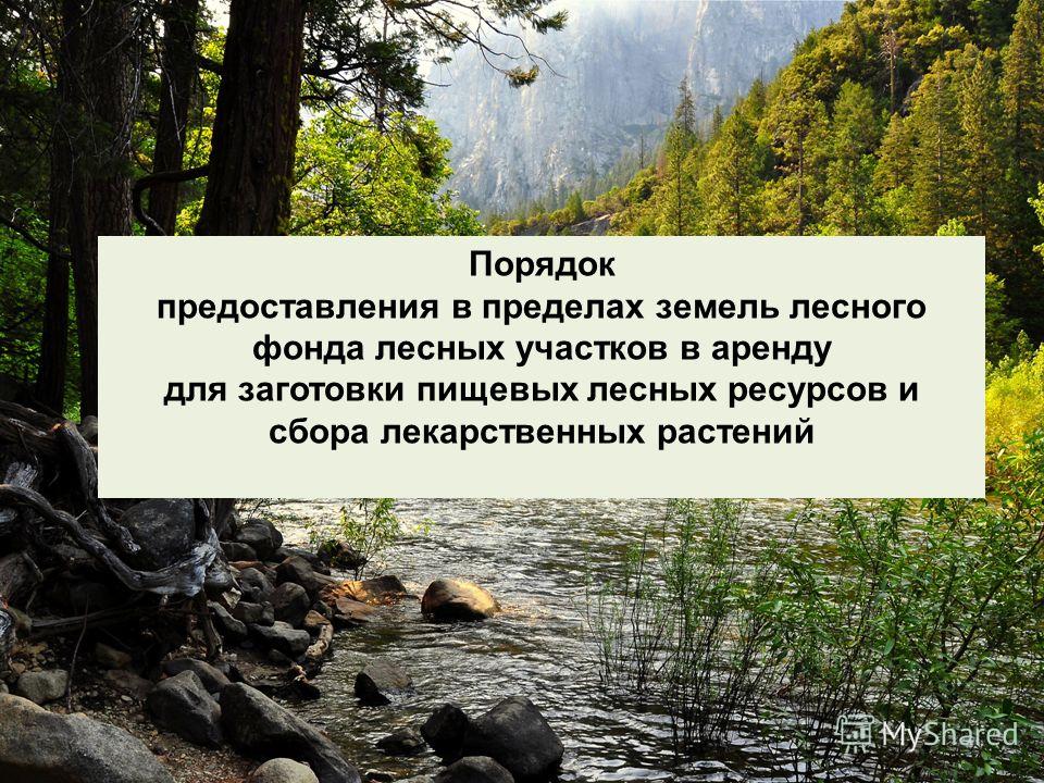 земля лесного фонда в аренду будем знать