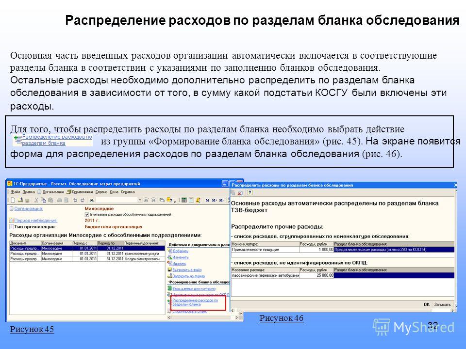 Анкета Статистического Наблюдения образец