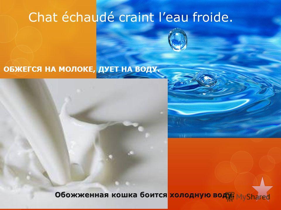 Обжегшись на молоке дуют на воду значение пословицы Обжегшись на молоке дуют на воду значение пословицы