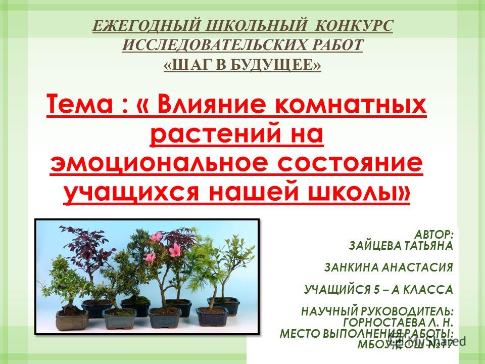 Конкурсы о комнатных растениях Конкурсы о комнатных растениях