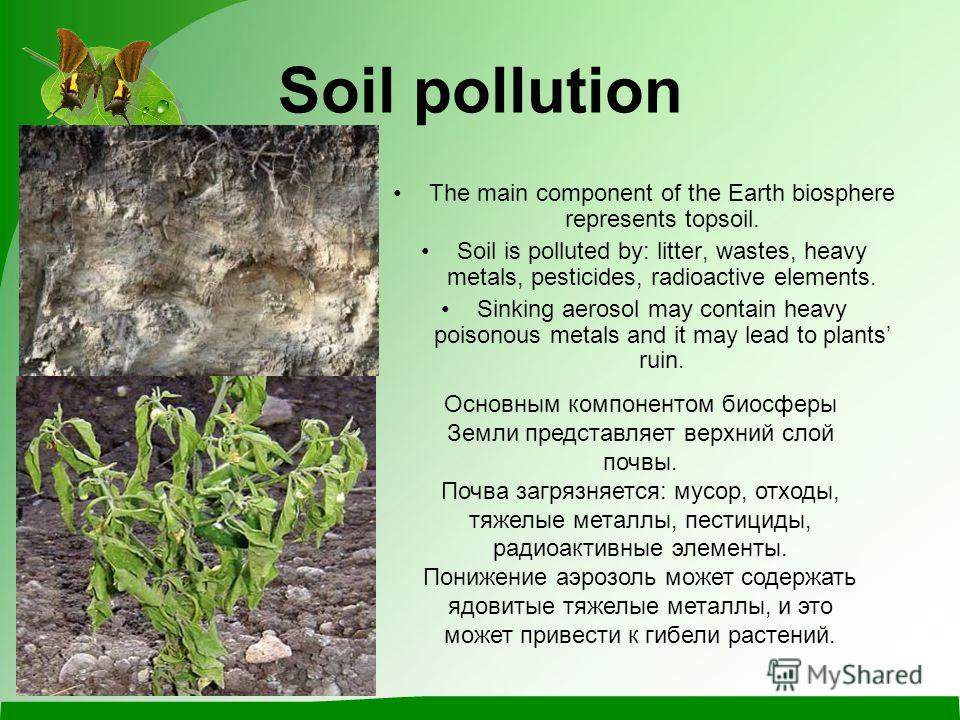Soil Pollution By Pesticides Pdf