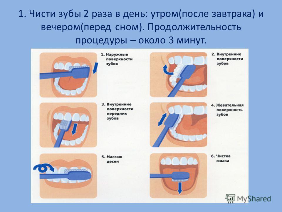 Беседа береги зубы Беседа береги зубы