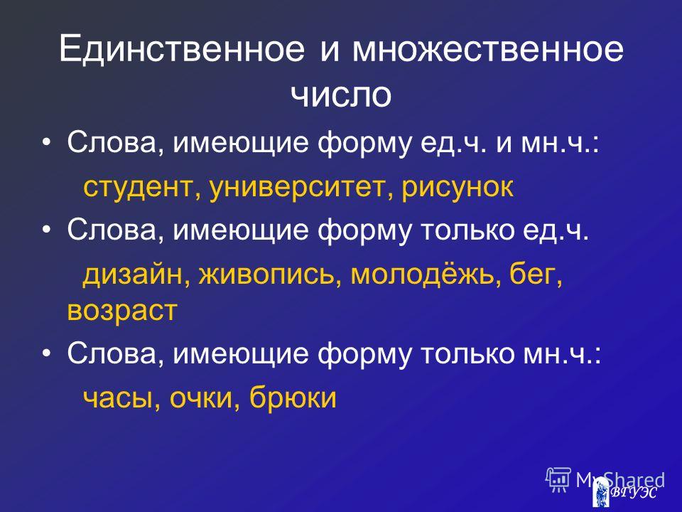 Брюки Число Множественное Доставка