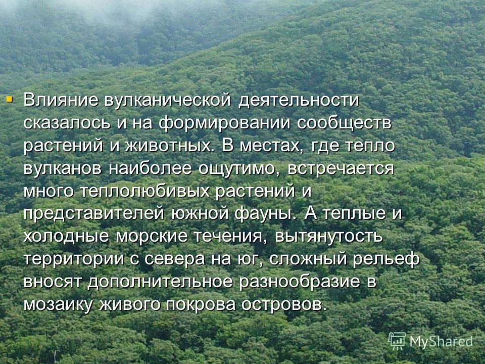 где особенно много вулканов