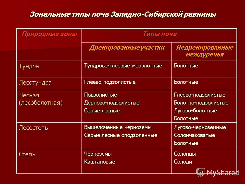 Скачать бесплатно конспект географии 8 класс зональные типы почв россии