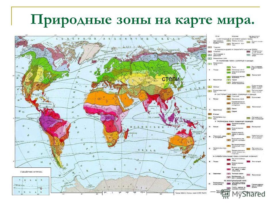 Природная зона степи программа занкова 3 класс