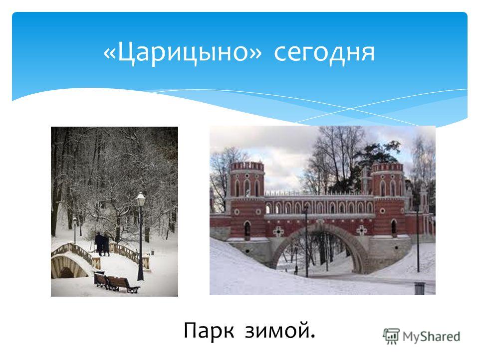 Реферат: Пейзажные парки Москвы XVIII века. Царицыно
