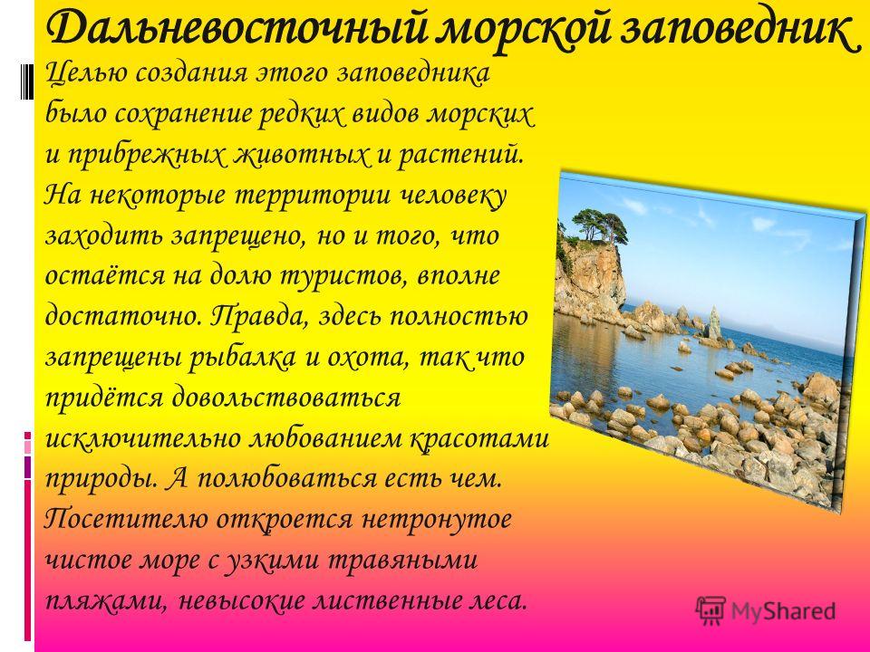 Презентация заповедник дальневосточный морской заповедник