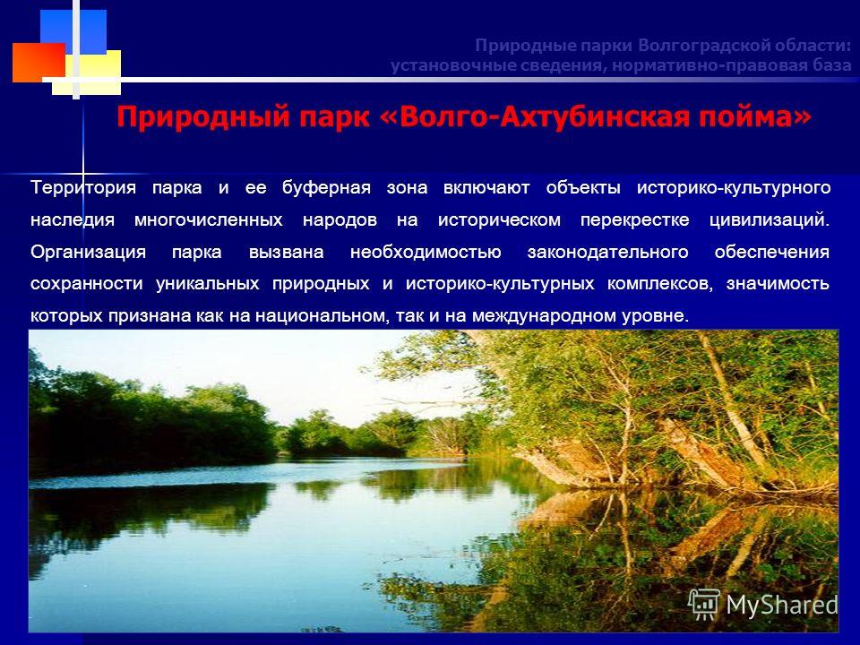 Окружающий мир. Формы земной поверхности