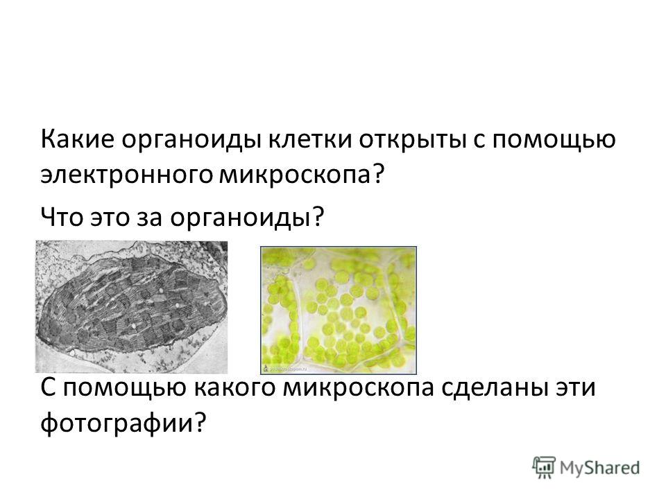 Клетка была открыта с помощью Клетка была открыта с помощью