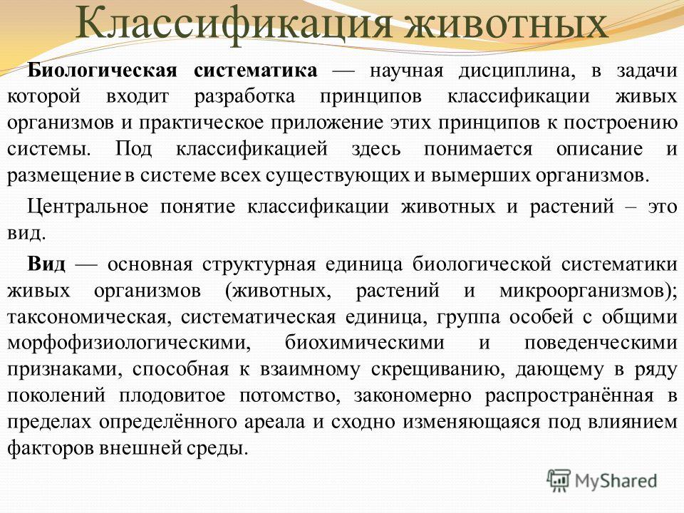 Держатель с лупой своими руками фото 153