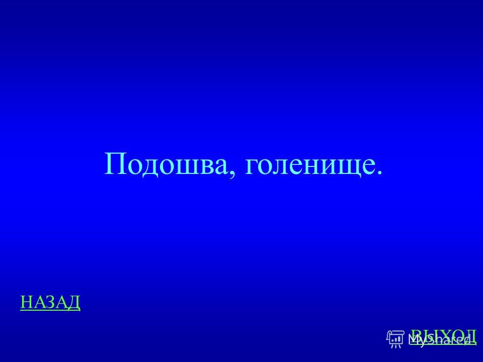 Как связаны глаза между собой Как связаны глаза между собой