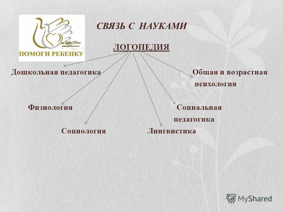 Как посеять газон: пошаговая инструкция Женская одежда больших размеров оптом от Zarstyle