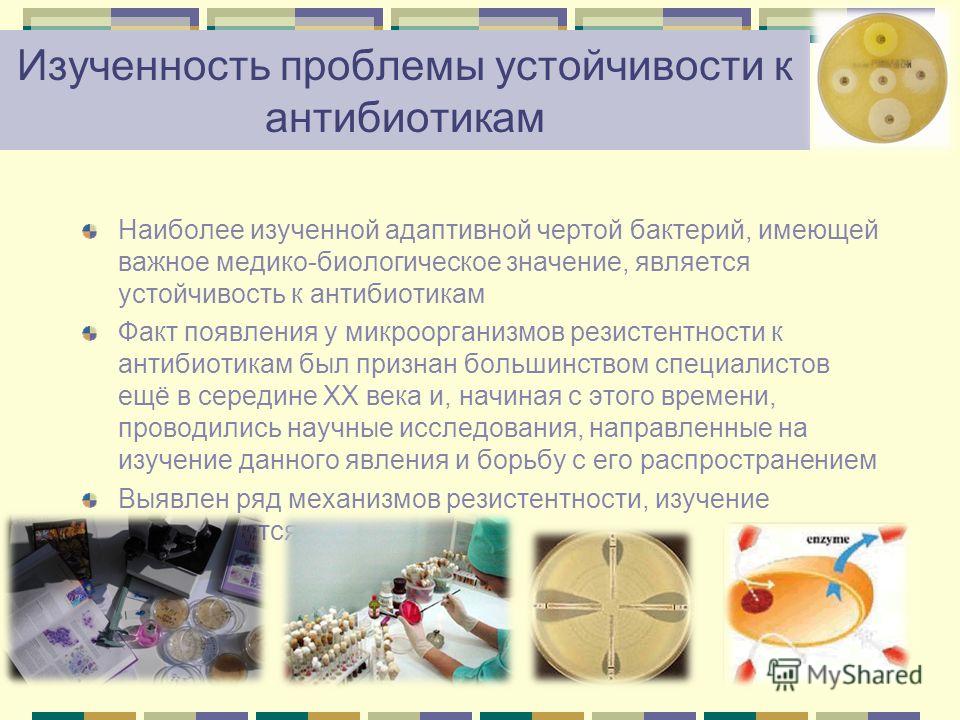 Отношение микроорганизмов к антибиотикам Отношение микроорганизмов к антибиотикам