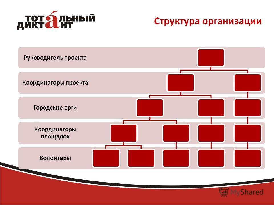Типы организационные структуры проекта