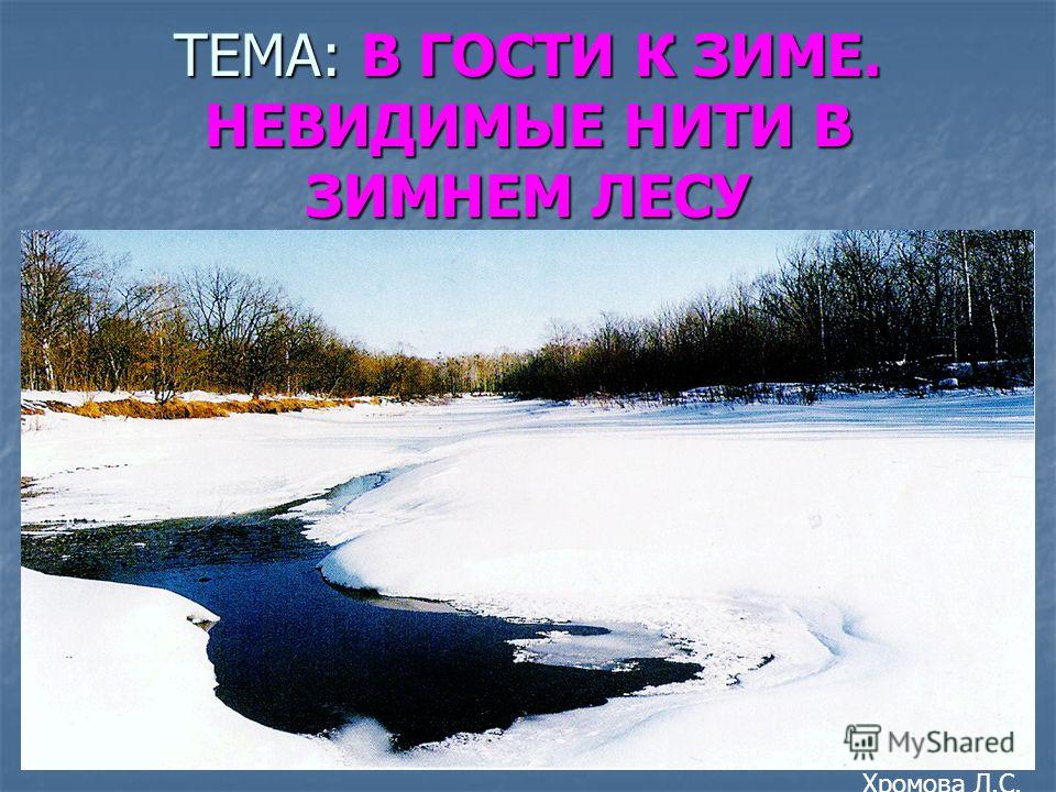 Картинки фото в гости к зиме Картинки фото в гости к зиме