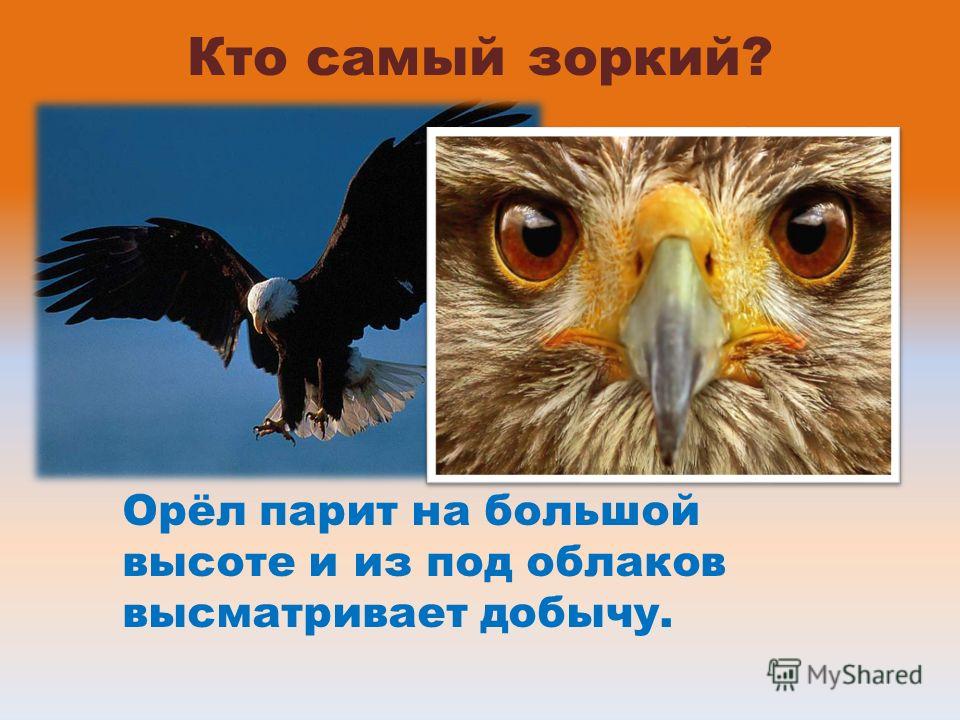 Зоркий Глазконкурс