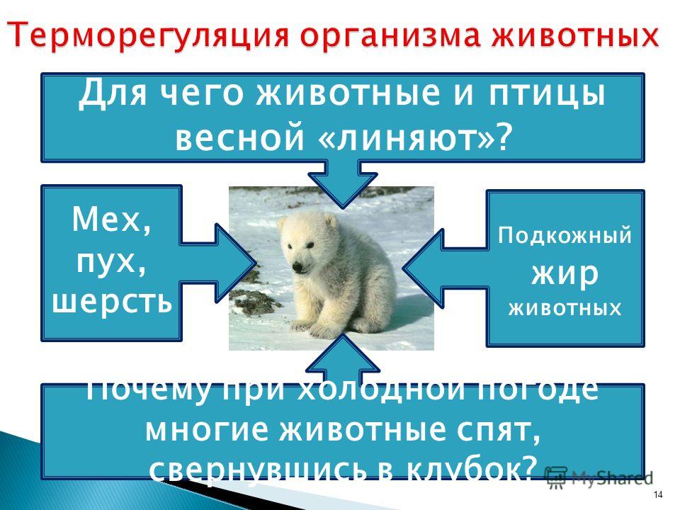 бутырка грязный снег слушать бутырка грязный снег слушать