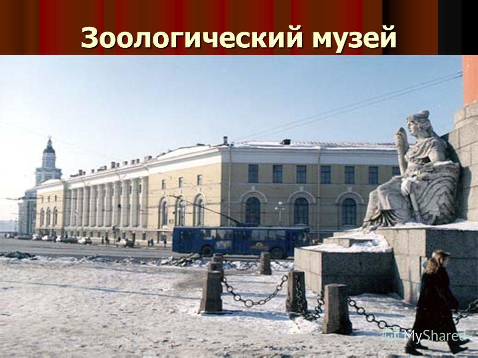 Зоологический Музей Реферат 5 Класс Зоологический Музей Реферат 5 Класс