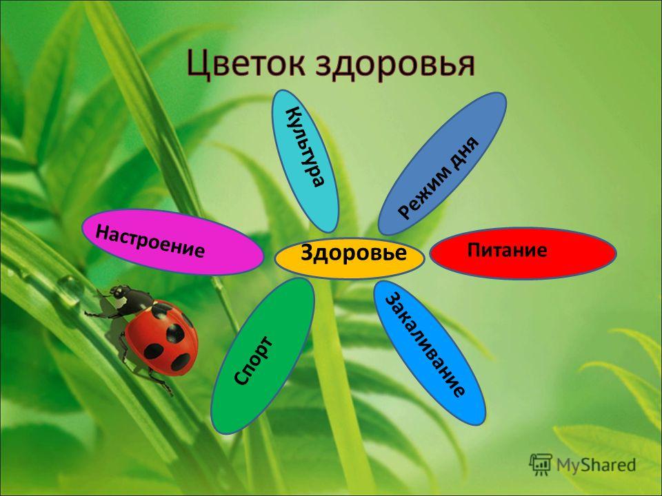 Откатные ворота своими руками - конструкции, эскиз, схемы Короб с крышкой плетеный из газетных трубочек