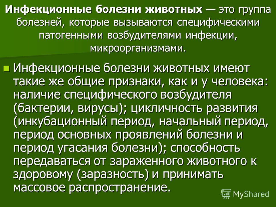 Доклад на тему инфекционные заболевания сельскохозяйственных животных 7386