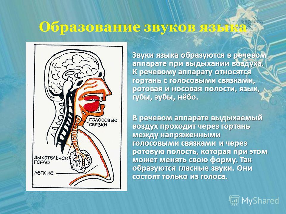 Звук языка скачать