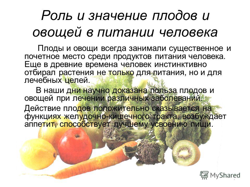 Значение овощей в питании человека 5 класс технология презентация