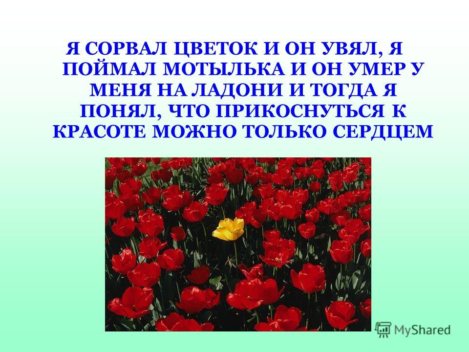 Авдотья - Рязаночка (Александр Жданов -Добромыслов) / Стихи. ру Улыбка Сердцем on Twitter: Сорви цветок и он увянет. Поймай