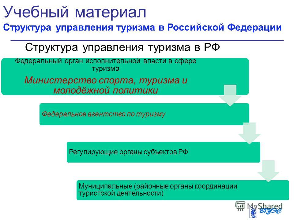Курсовая работа по теме Корпоративное управление туризмом в Российской Федерации