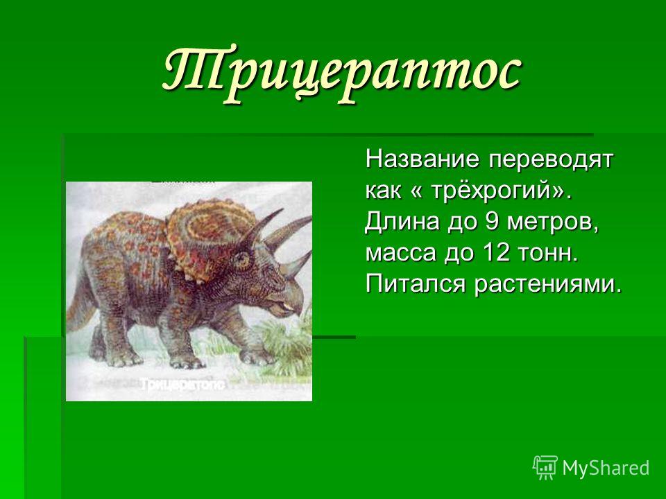Трицераптос Название переводят как « трёхрогий». Длина до 9 метров, масса до 12 тонн. Питался растениями.