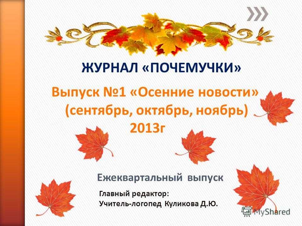 Цветок лилию когда можно пересадить Цветок лилию когда можно пересадить