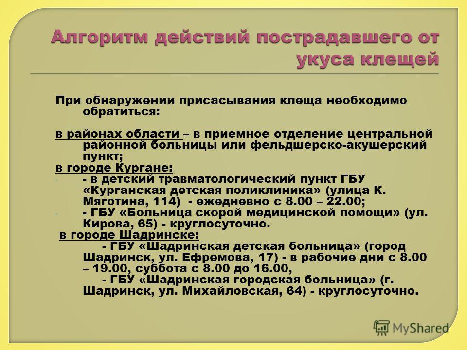 Медицинские центры нг