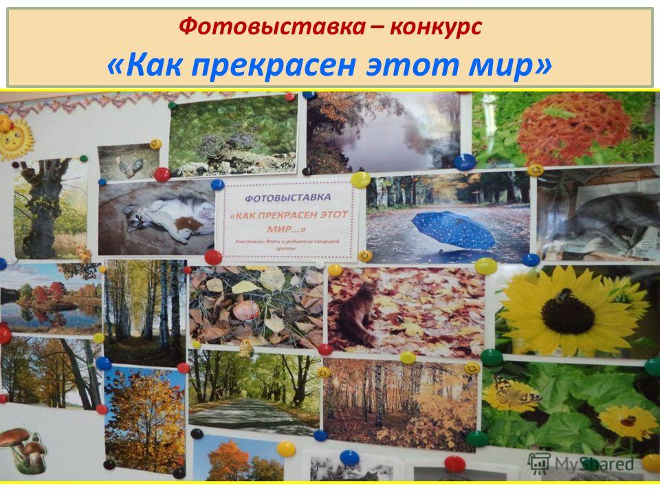 Конкурс фотографий как прекрасен Конкурс фотографий как прекрасен