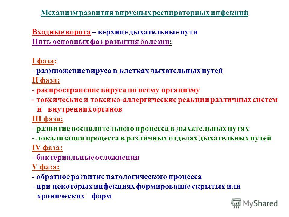 Как лечить вирусные инфекции дыхательных путей Как лечить вирусные инфекции дыхательных путей