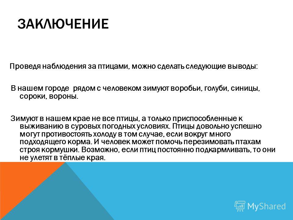 Как зимует воробей в волжском картинки Как зимует воробей в волжском картинки