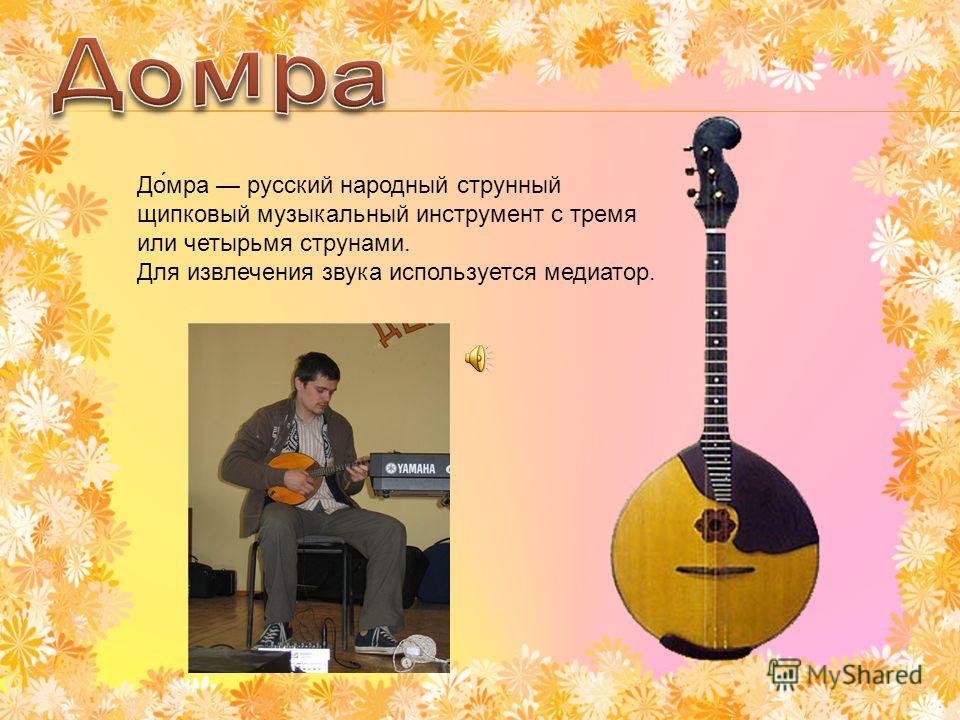 Картинки ДОМРА РАЗМЕРЫ