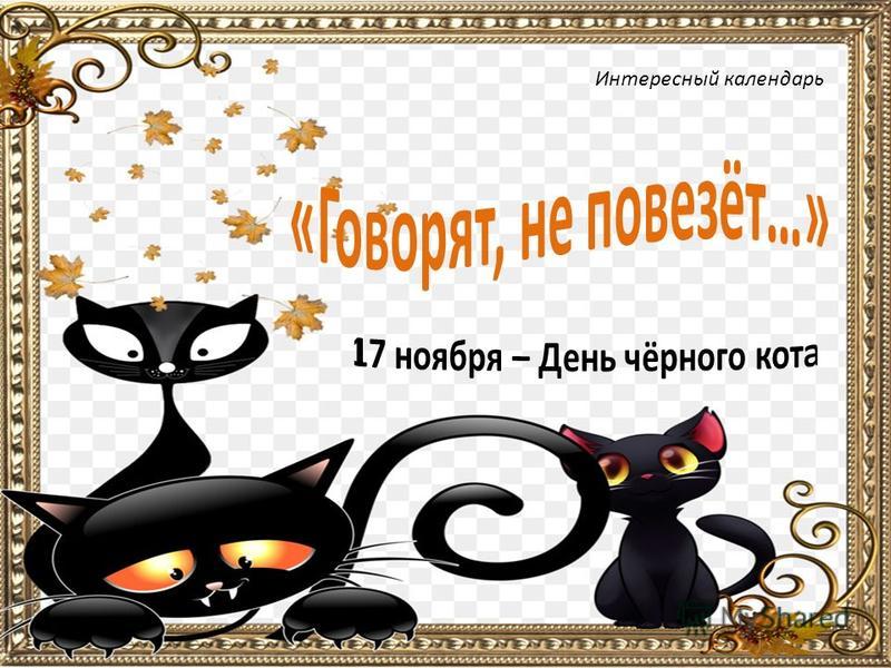Сочинение по теме Черный кот