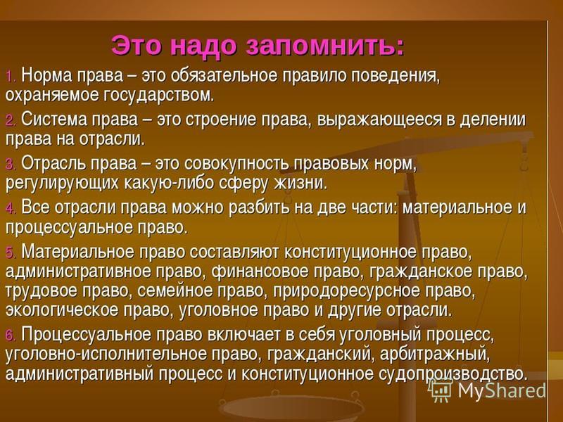 Презентация к уроку процессуальные отрасли права 10 класс боголюбов