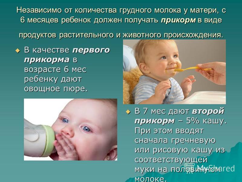 Аллергия У Новорожденного Диета Мамы