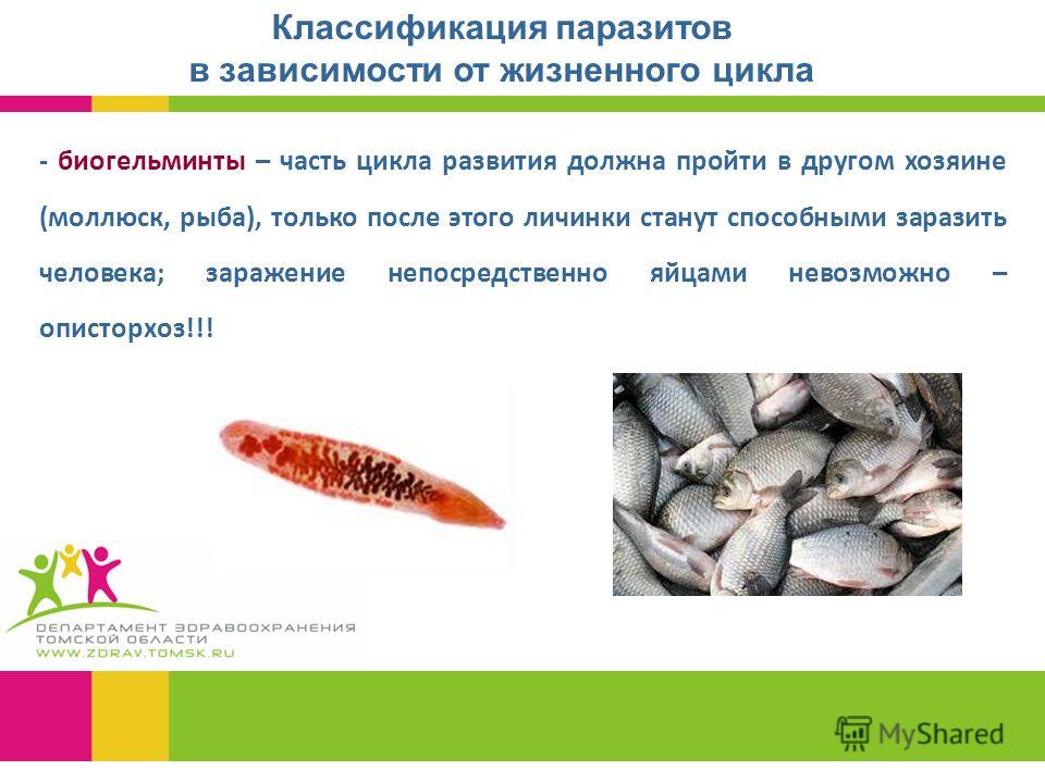 метеоризм от паразитов лечение народными средствами метеоризм от паразитов лечение народными средствами