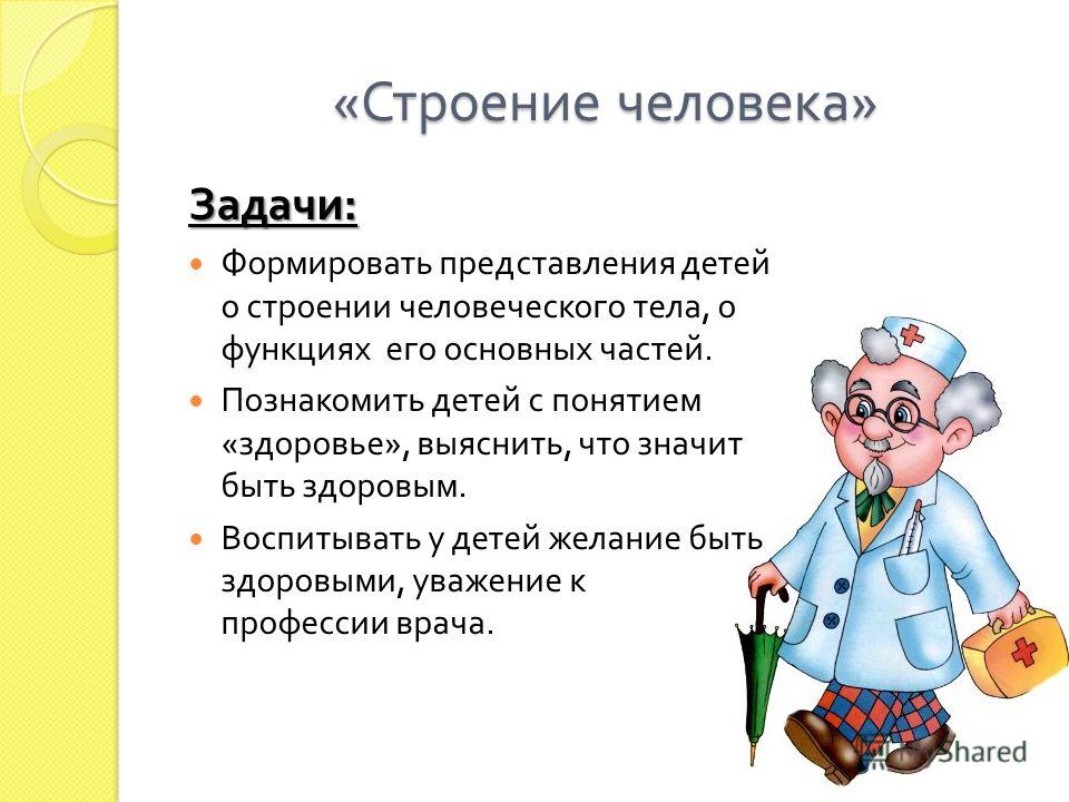 программа правильного питания и тренировок для похудения программа правильного питания и тренировок для похудения