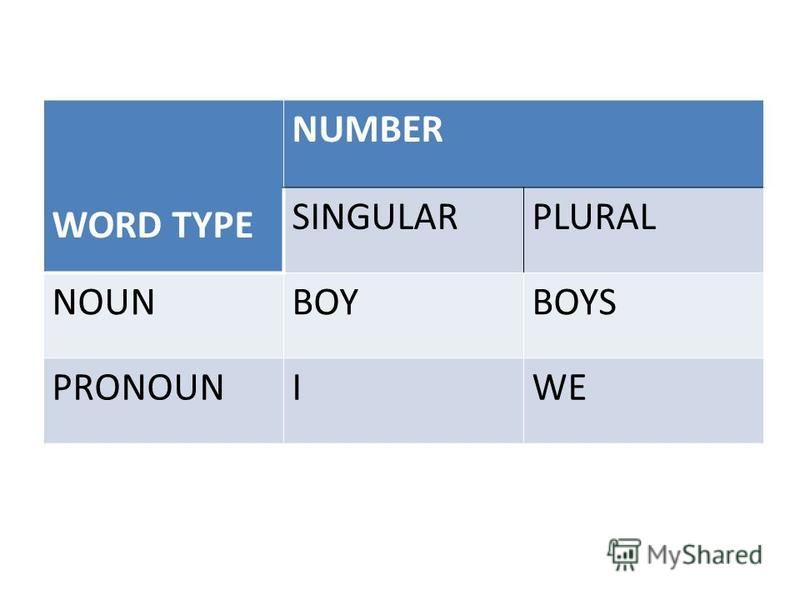 Контрольная работа по теме Сategory of number of nouns