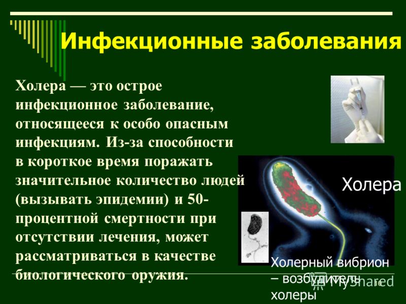 от глистов взрослым пирантел цена от глистов взрослым пирантел цена