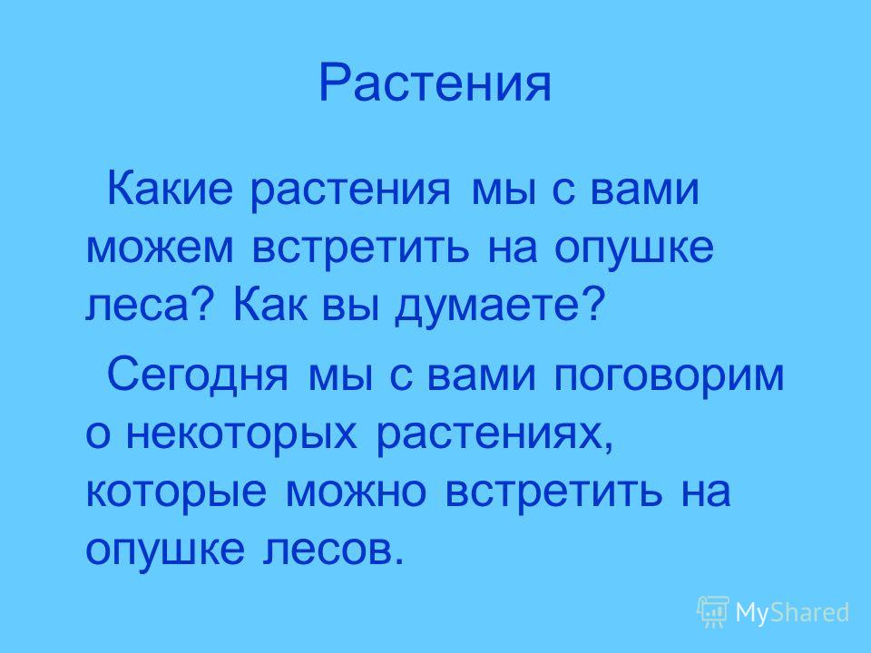 Песня снег в лицо