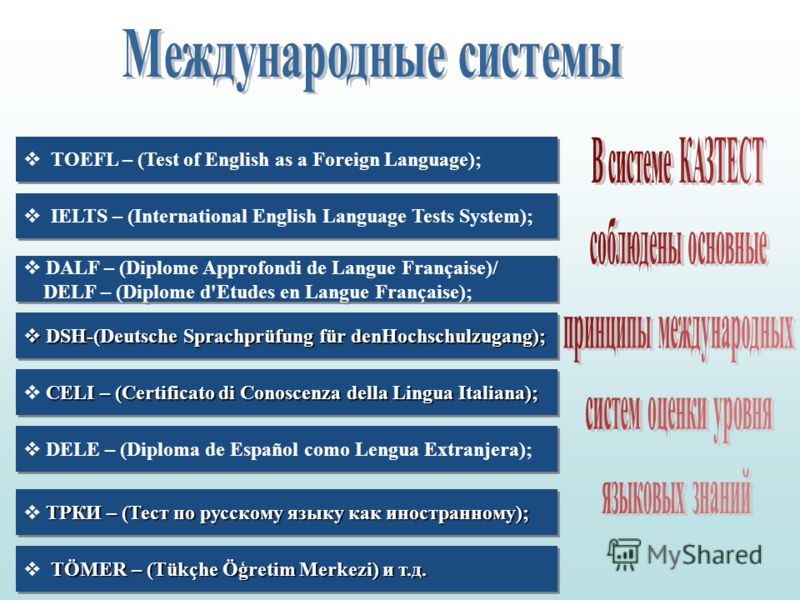 Тест По Русскому Языку Программа My Test Бесплатно