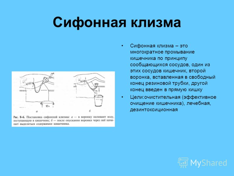 очищение кишечника ромашкой очищение кишечника ромашкой