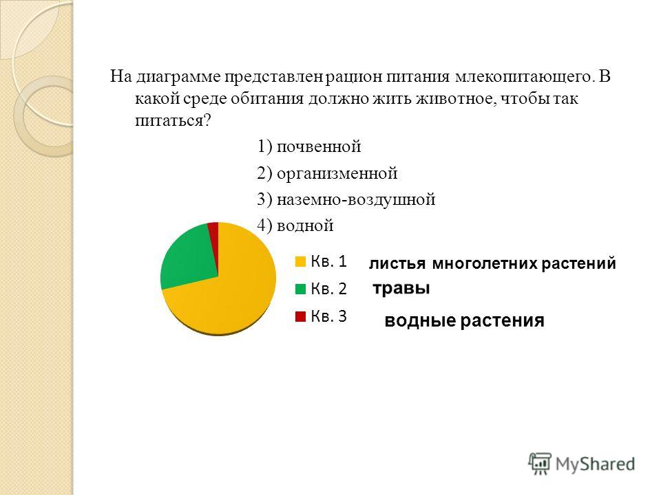 рацион питания чтобы похудеть рацион питания чтобы похудеть