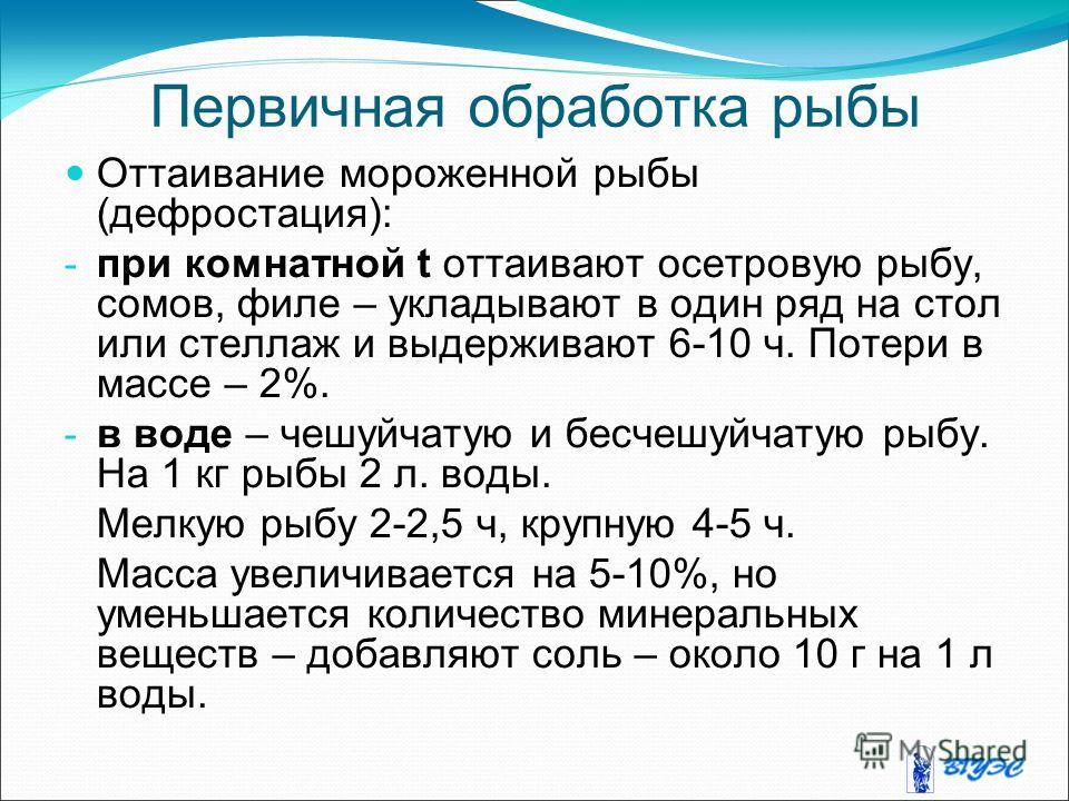 обработка рыбы от паразитов обработка рыбы от паразитов